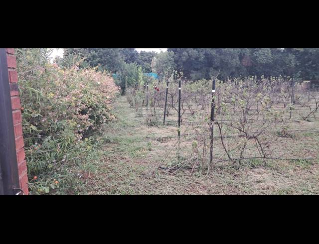 4,064M² VACANT LAND FOR SALE IN HENLEY ON KLIP
